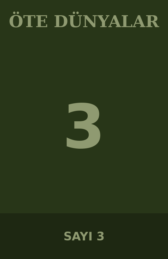 Sessiz Yörünge başlıklı kapak illüstrasyonu